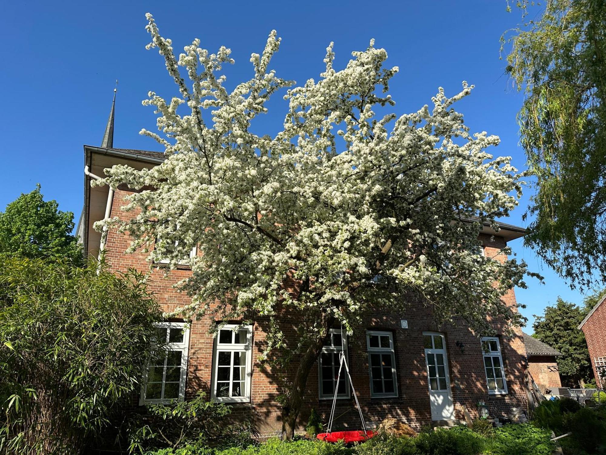 Altes Pastorat Bed & Breakfast Barmstedt Exterior foto