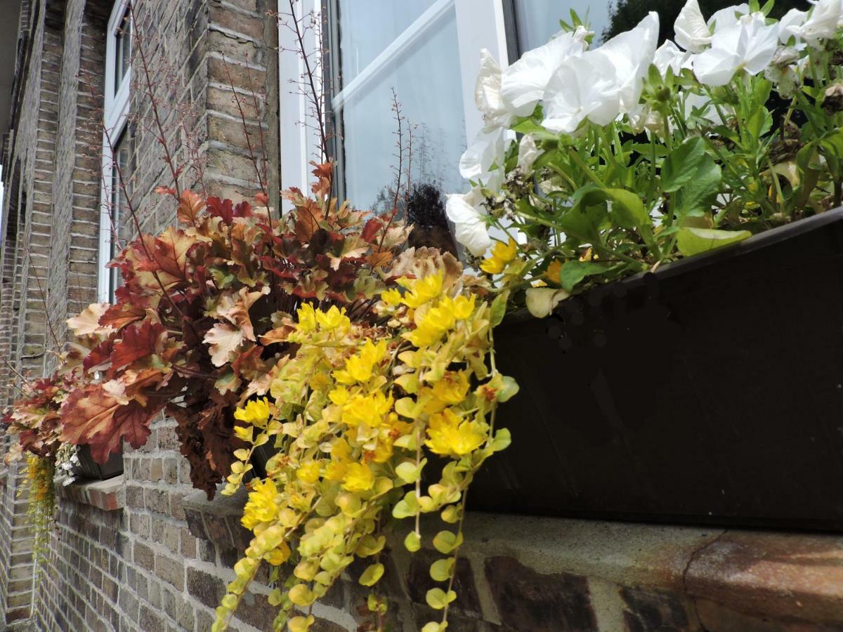 Altes Pastorat Bed & Breakfast Barmstedt Exterior foto